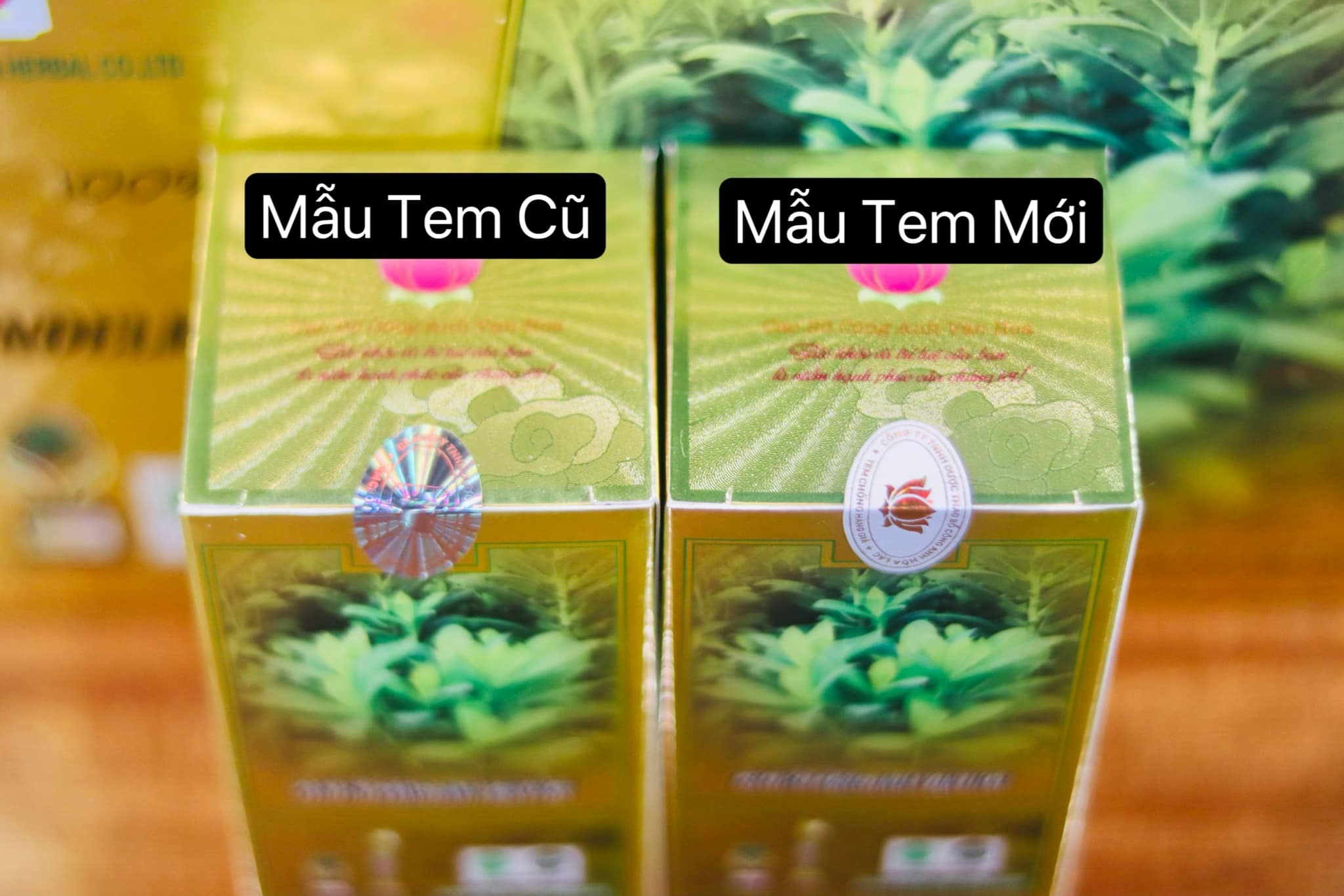 Mẫu Tem và mẫu Chai Cao Bồ Công Anh Vạn Hoa Hàng Thật