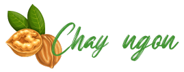 Chay Ngon