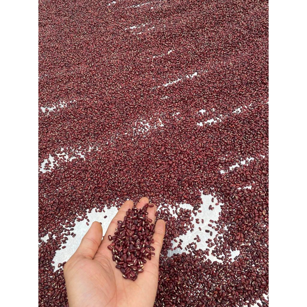 Xích Tiểu Đậu Hữu cơ - Đậu Đỏ hạt nhỏ vuông Đông y - Đã rửa sạch và hút chân không