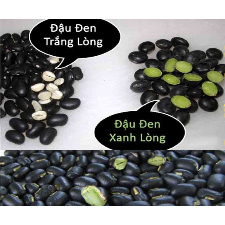 Đậu đen xanh lòng Thuần chủng - Hữu cơ - Đã đãi sạch - Đậu đen organic
